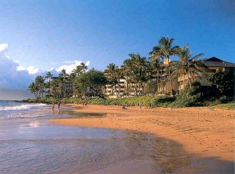 Hale Pau Hana Oceanfront Maui Condo
